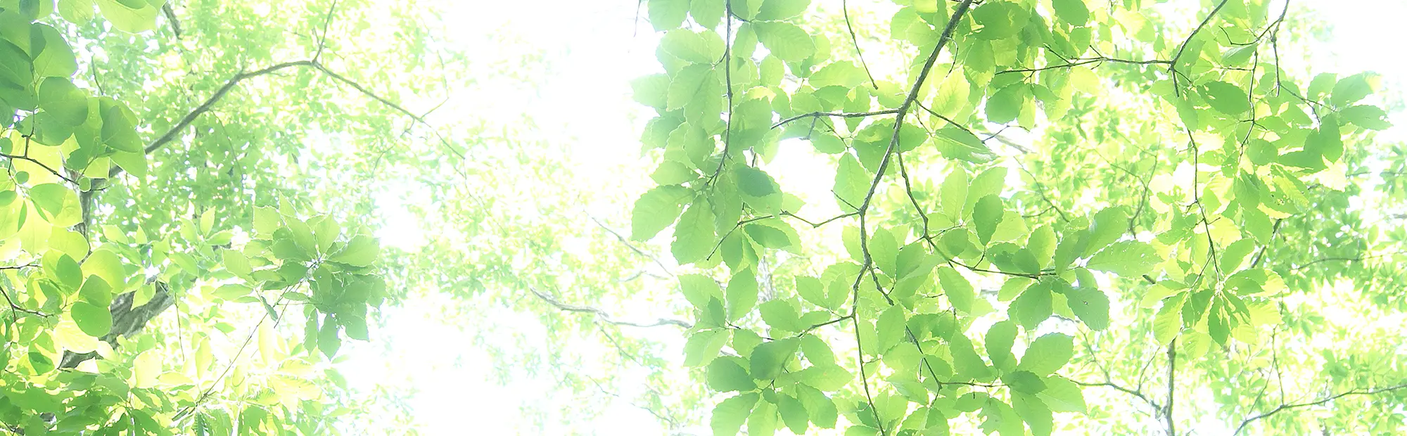 キービジュアルイメージ01